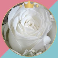 rose_fe様　新品フォーギブネス5ml　自分の感情を癒したい時に❣️ えっくす☆きゅーとふぁみりー Fuka（ふうか）／乙女的休日散歩