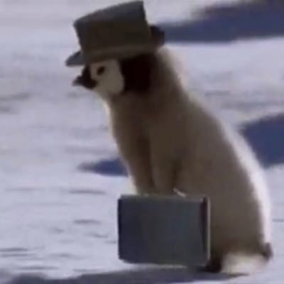 cartesiian's profile picture. a history teacher betting on Cartesi