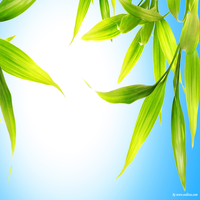 aEIb9U3vzC50527's profile picture. 戦略的思考の、革新的な性格で、木工制作、環境保護活動、日本料理研究などに興味を持っています。現在は新しい技術の習得に励むです。