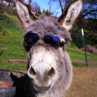 Evan (@evanfwost) 's Twitter Profile Photo Evan (@evanfwost) 's Twitter Profile Photo
