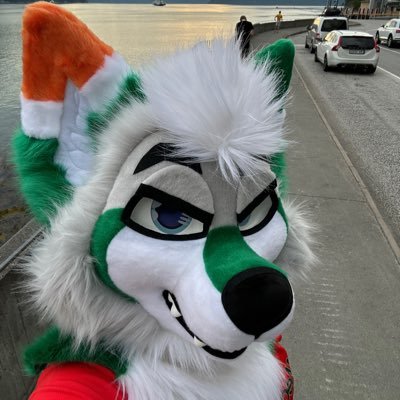 Refferic the Coyote Profile