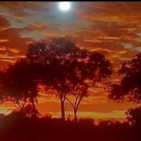 MANJIT SINGH (@manjitsing42131) 's Twitter Profile