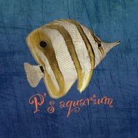 ぴー (@p_aqua_p) 's Twitter Profile