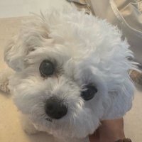 밀키 (@milkystudyhai) 's Twitter Profile Photo