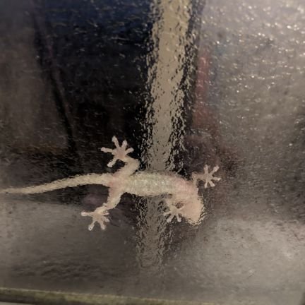 fJJFly95mn48052's profile picture. いいたい事いう心をこめて♡GADOROと男子バレーボールに夢中かも