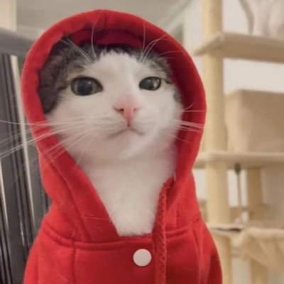 honeybug4333's profile picture. 