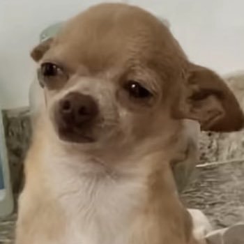 minayyu's profile picture. 