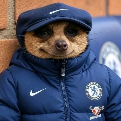 young Zim 🇿🇼 man
Christian {Adventist}
Chelseafc & https://t.co/XpIlv5NCpc fan💙🤍
