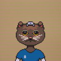 Beetho.union☯️ (@0xbeetho) 's Twitter Profile