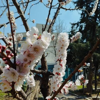 klunas83's profile picture. Account Audit@ Chase Bank