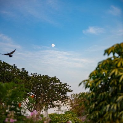 ukhtnoorr's profile picture. على  منهج السلف إن شاء الله