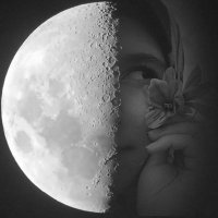 معصومه صالحے (@masoomehsalehy) Twitter profile photo