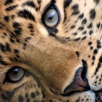 Eeda882's profile picture. 