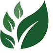 🌿 Rediscover nature’s forgotten medicine.
💚 Herbal remedies, wild foraging & ancestral healing wisdom.
🧠 Learn. Heal. Thrive — the old-fashioned way.
