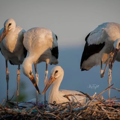 haneul293's profile picture. 