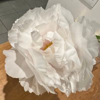 ばびんか (@babi_nka) 's Twitter Profile