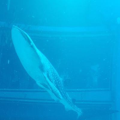 カユさんのプロフィール画像