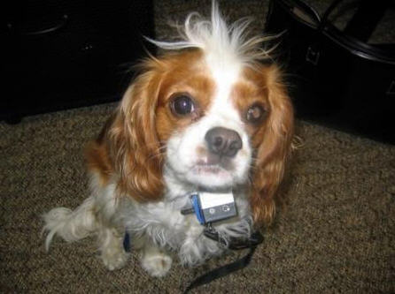 cmestel's profile picture. 