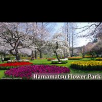 RJ (@rj92446638) 's Twitter Profile Photo