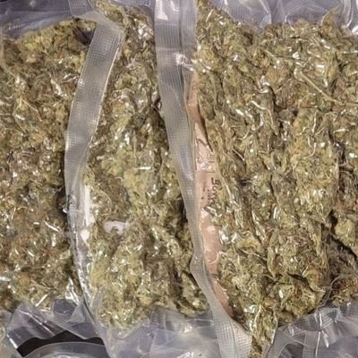weedINtokyo's profile picture. Weed Tokyo!!! Best way!! How to get weed in Tokyo? Our: telegram @Yuuu0044 best shit in Tokyo. Vacuum sealed packs for your safety. No panic just pleasure.