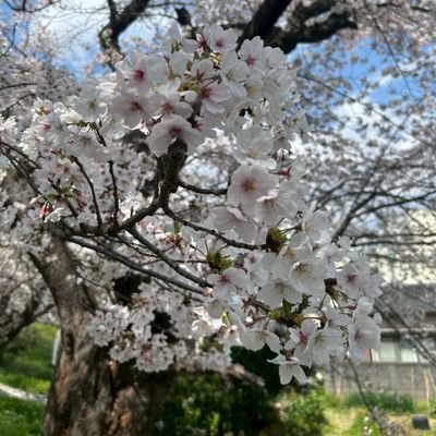 NOT11264227's profile picture. ぼちぼち生きてるアラサー社会人　メーカー→官公庁→コンサル→また事業会社　コンサル経験を活かしてなんとか生き延びてます・・・
出身は自分のポストから察してくださいw
半年ほど前に某党の特別党員になりました。
※子供関係のつぶやき、ソニック、昔の仕事関係のつぶやき、たまに政治関係と雑多に発言しますがよろしくお願いします。