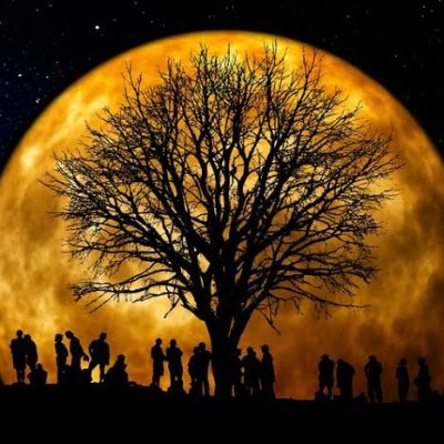 piryuryusi1082's profile picture. お得情報共有しましょう。　Amazonアソシエイト参加中✨️
