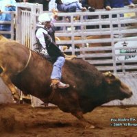 rodeo rekt. (@rodeorektcrypto) 's Twitter Profile