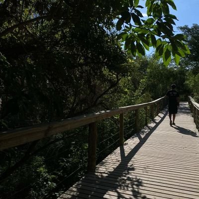 julidiaz_11's profile picture. No puedo librarme a lo que te debo como ilusión.