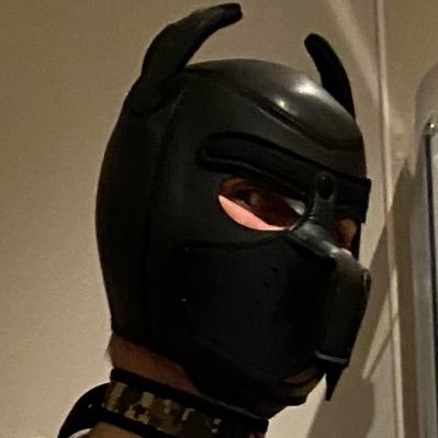 Level 25 🏳️🌈 Gay, Kinky, Young Farmer Bondage boy/Leather/Rubber/Pup Play Scottish Borders/North East/Essex