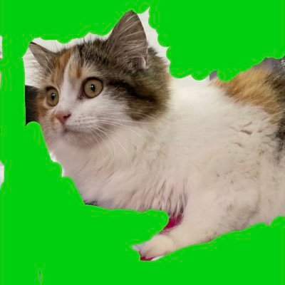 manhduc_crypto's profile picture. VCL