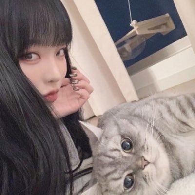 ar15j5Lvu13oreO's profile picture. 