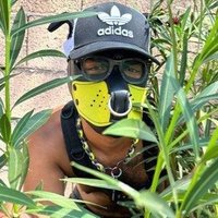 terror pup (@terrorpup10) 's Twitter Profile