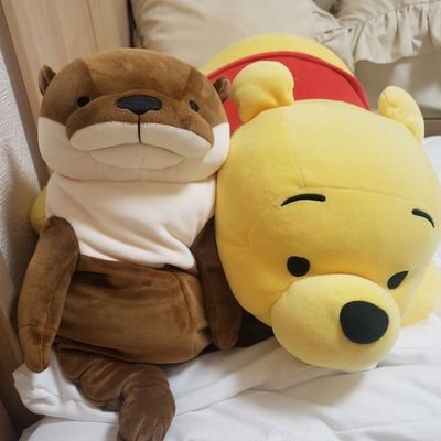 haru_yu_591's profile picture. 情科 DM IS／WPB③ Dr.