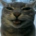 Nullifried SHEDTWT and JoostTWT 🏳️🌈🇵🇸🇺🇦 ifb (@parenthesescat) Twitter profile photo Nullifried SHEDTWT and JoostTWT 🏳️🌈🇵🇸🇺🇦 ifb (@parenthesescat) Twitter profile photo