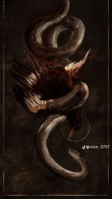 _Zen_2202's profile picture. Dăm