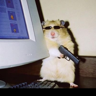 kumailllv's profile picture. Expect chaos, code, and shitposts.