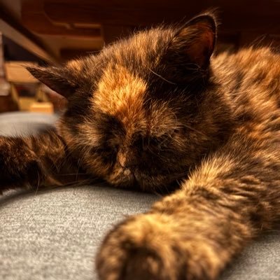 frnd0928's profile picture. 18↑ ラブライブ!サンシャイン! !松浦果南ちゃん推し♡の女です🚺 全力推し活💪