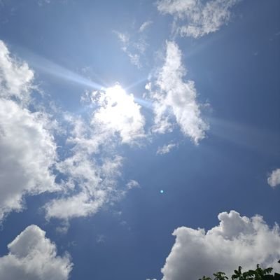 elijahnaemezu's profile picture. 