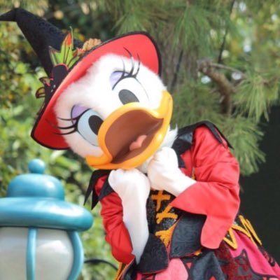 glaceon82's profile picture. ロルカナ🐭🏰 2013-2020共通🌼 ナブルの民