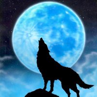 γγπ¦π¨ (@makiranb) 's Twitter Profile