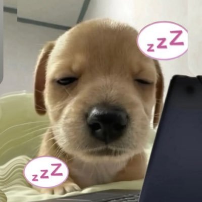 not은묵음 체리쥬빌레맛 미동이