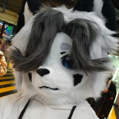 azzzzzze193486's profile picture. 🥟🥟🥟🥟🥟🥟🥟🥟🥟🥟🥟🥟🥟🥟