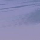 cellescent's profile picture. .