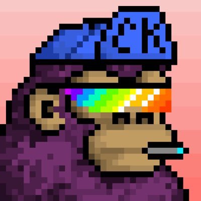 CryptoMur7's profile picture. CyberKongz #621, Bebe/VX/Genkai collector plus general all round Degen