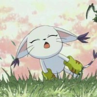 sach .☘︎ ݁˖ (@velvetzdaze) 's Twitter Profile Photo sach .☘︎ ݁˖ (@velvetzdaze) 's Twitter Profile Photo