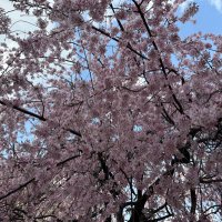 すなぎも💜🦄🫧 (@ku88429685) 's Twitter Profile Photo