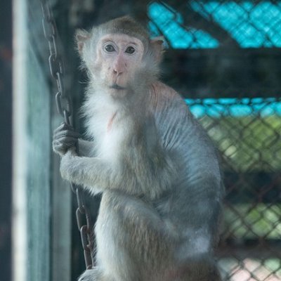 AubreyDederrNBb's profile picture. 