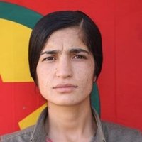 Zınar (@kokme47) 's Twitter Profile