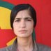Zınar (@kokme47) Twitter profile photo Zınar (@kokme47) Twitter profile photo