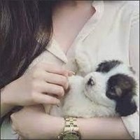Whitney (@zx9u1ss94470pv) 's Twitter Profile